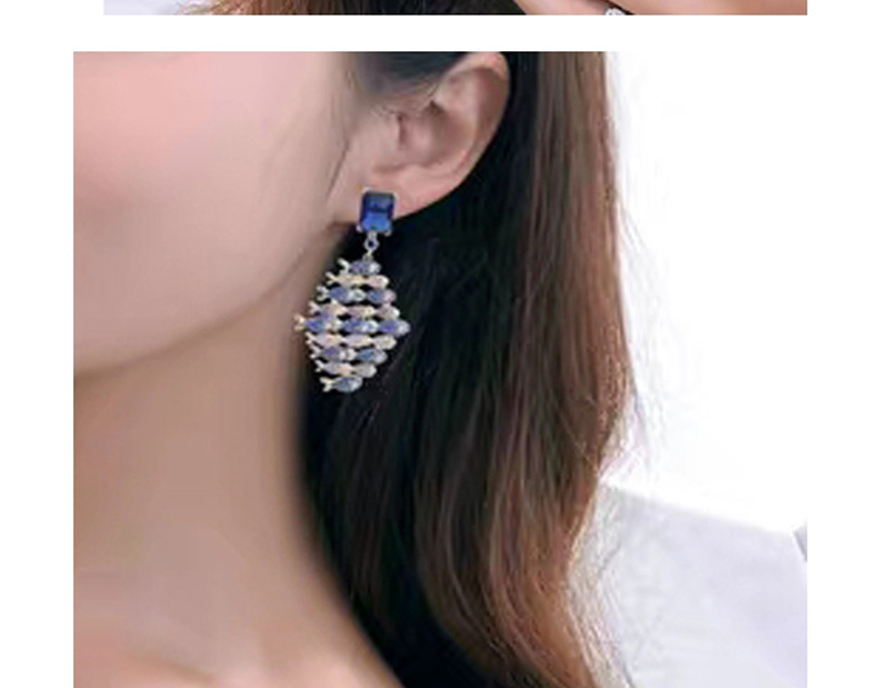 Fashion Gold  Sterling Silver Needle Micro-inlaid Zircon Big Fish Eat Small Fish Earrings,Earrings