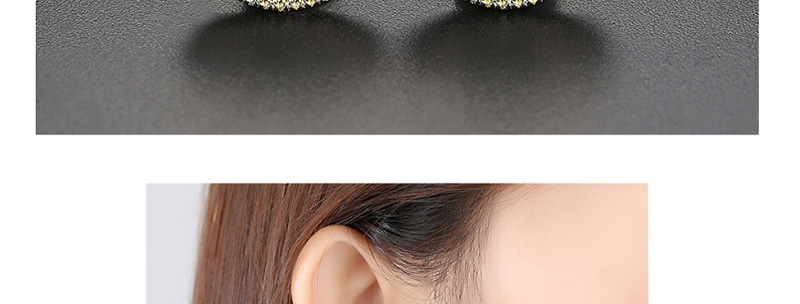 Fashion Rose Gold Copper Inlaid Zirconium Earrings,Earrings