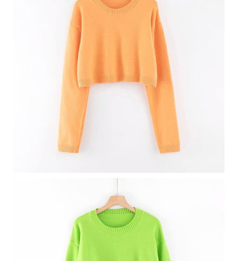 Fashion Orange Round Neck Short Sweater,Sweater