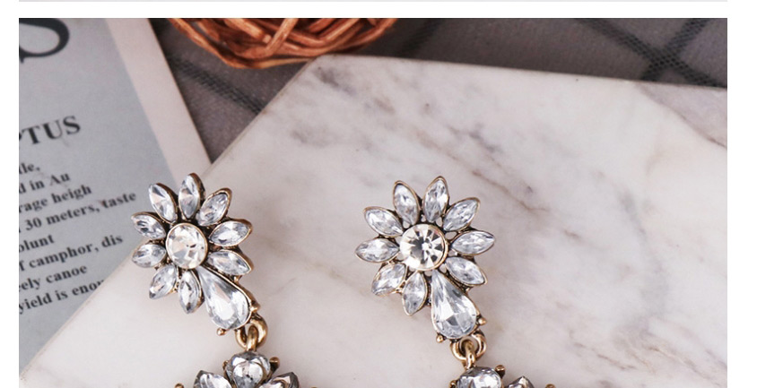 Fashion Gold Acrylic Earrings,Drop Earrings