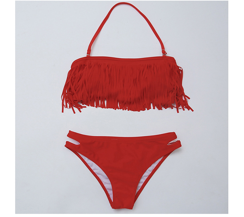 Fashion Red Wine Tassel Hanging Neck Split Bikini,Bikini Sets
