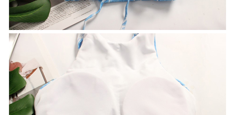 Fashion Blue Plant Print Split Bikini,Bikini Sets