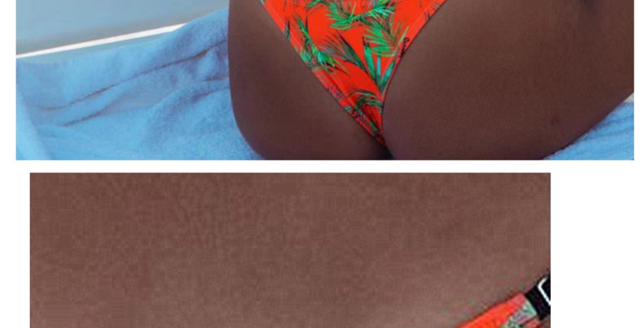 Fashion Red Three-point Feather-print Split Swimsuit,Bikini Sets