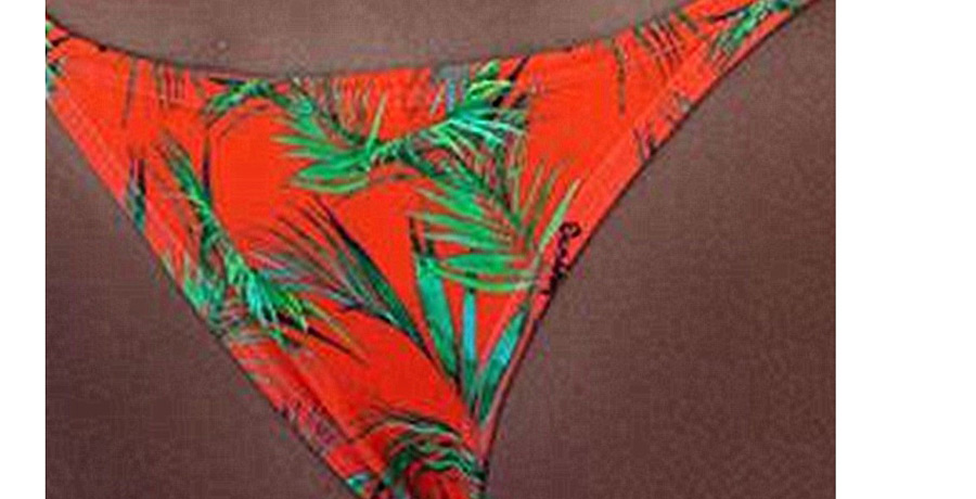 Fashion Red Three-point Feather-print Split Swimsuit,Bikini Sets