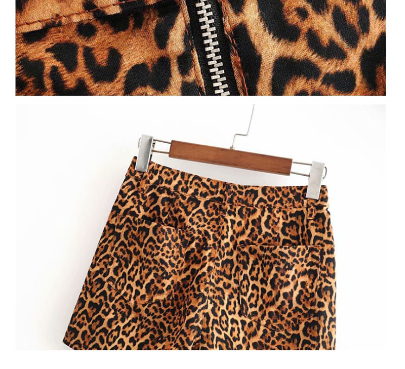 Fashion Tiger Skin Pattern Animal Print Asymmetric Shorts,Shorts
