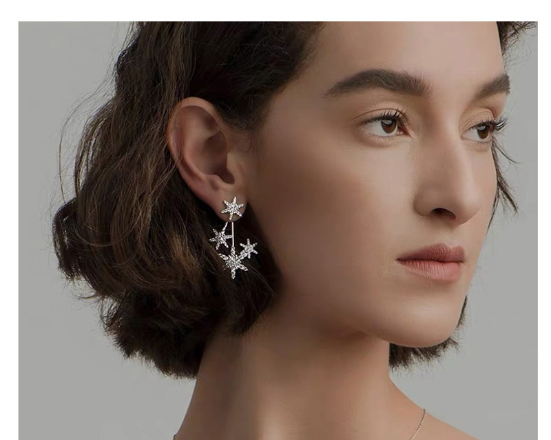 Fashion Silver Snowflake Mosaic Earrings With Diamonds,Earrings