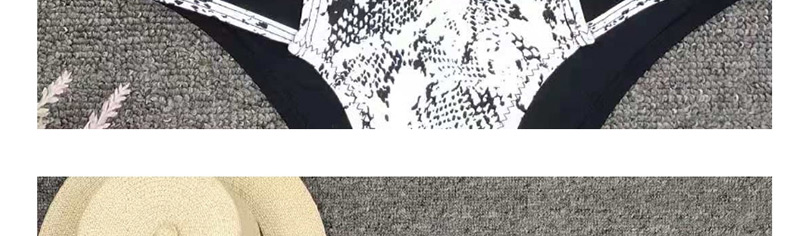 Fashion Snake Pattern Contrast Color Contrast Snake Print Split Split Stitching,Bikini Sets