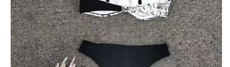 Fashion Snake Pattern Contrast Color Contrast Snake Print Split Split Stitching,Bikini Sets