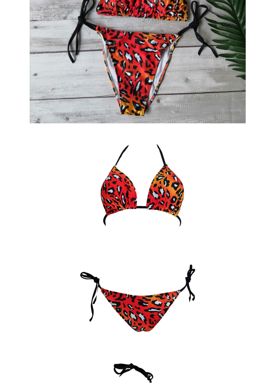 Fashion Blue Snake Pattern Leopard Print Polka-dot Split Swimsuit,Bikini Sets