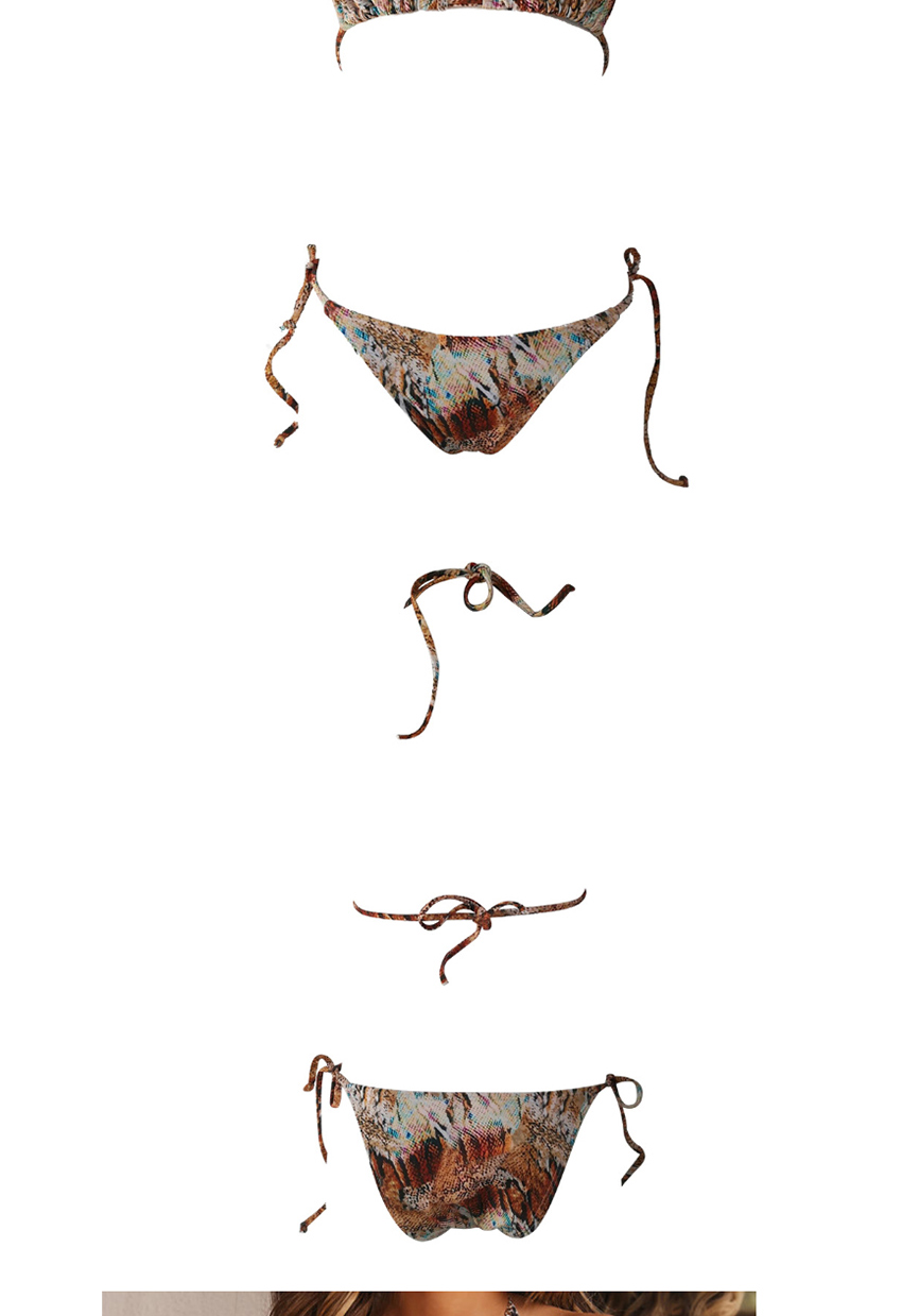 Fashion Blue Snake Pattern Leopard Print Polka-dot Split Swimsuit,Bikini Sets