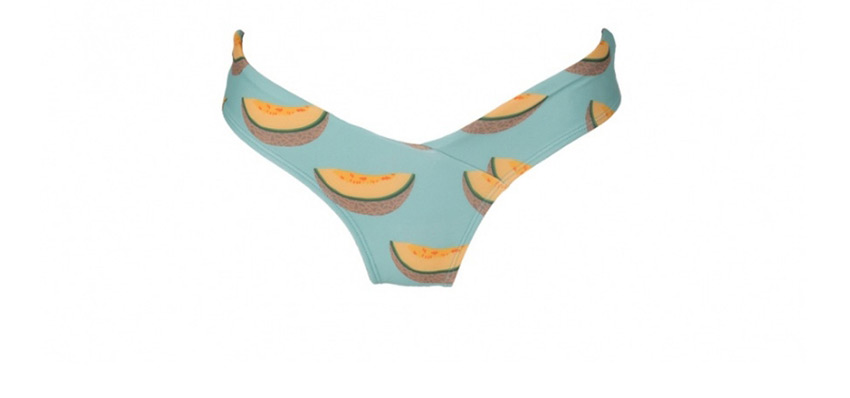 Fashion Light Blue Cantaloupe Fruit Print Paneled Swimsuit,Bikini Sets