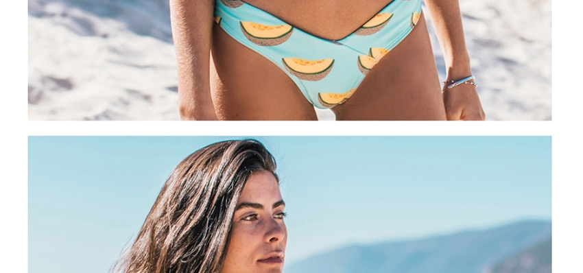 Fashion Light Blue Cantaloupe Fruit Print Paneled Swimsuit,Bikini Sets