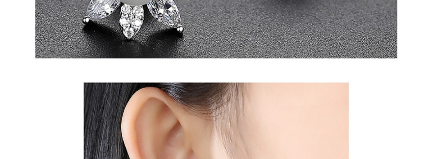 Fashion Platinum Silver-plated Brass Flower Earrings With Diamonds,Earrings