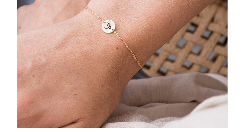 Fashion Rose Gold-pisces (9mm) Gold-plated Geometric Round Stainless Steel Engraved Constellation Bracelet,Bracelets