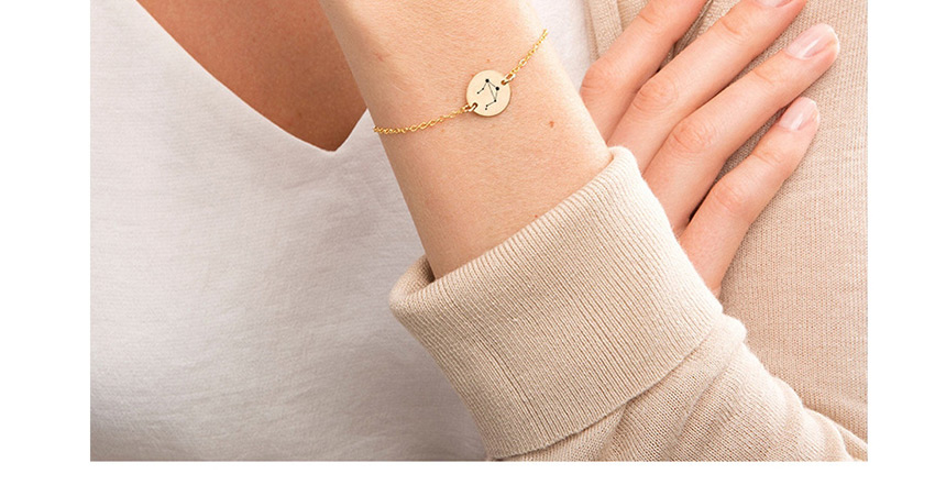 Fashion Golden-leo (13mm) Round Stainless Steel Gilt Engraved Constellation Bracelet,Bracelets