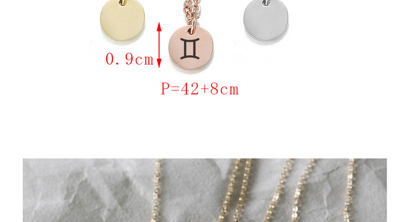 Fashion Golden-pisces (9mm) Stainless Steel Engraved Constellation Geometric Round Necklace,Necklaces