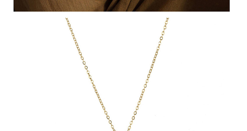 Fashion Golden-capricorn (9mm) Stainless Steel Engraved Constellation Geometric Round Necklace,Necklaces