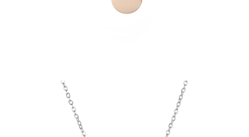 Fashion Rose Gold-penguin Geometric Round Stainless Steel Carved Animal Necklace 9mm,Necklaces