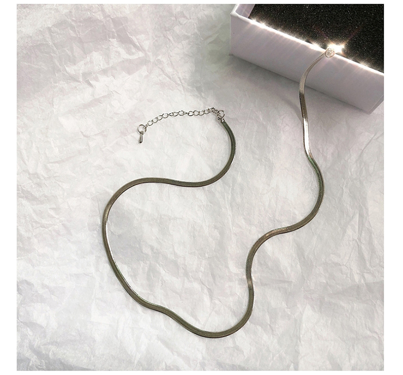 Fashion Silver Wide Flat Snake Bone Short Chain,Chains