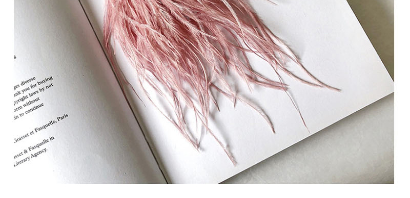 Fashion Pink Fringed Feather Crystal Gem Hair Clip,Hairpins
