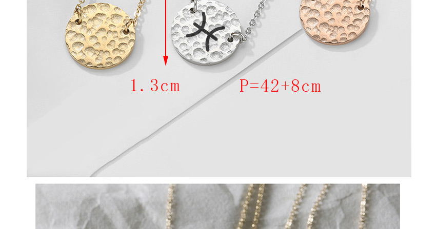 Fashion Golden-pisces Stainless Steel Round Hammer Engraved Constellation Necklace 13mm,Necklaces