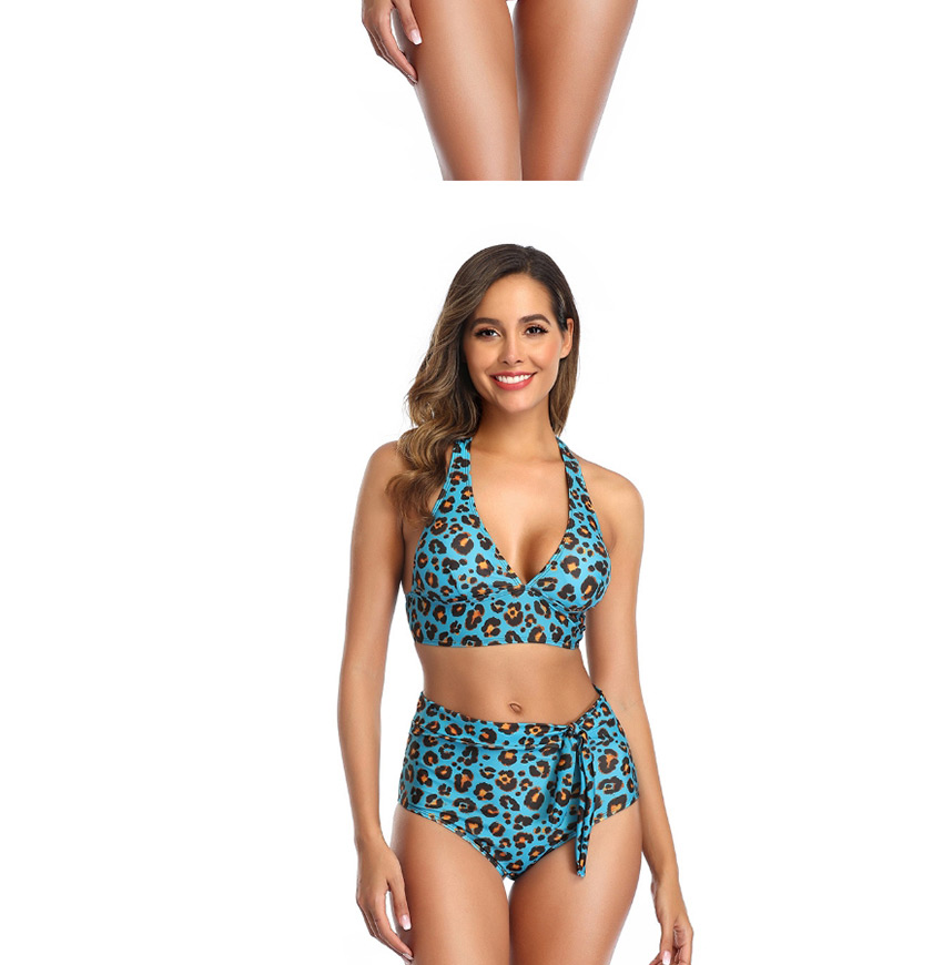 Fashion Dark Leopard Print V-neck High Waist Split Swimsuit,Bikini Sets
