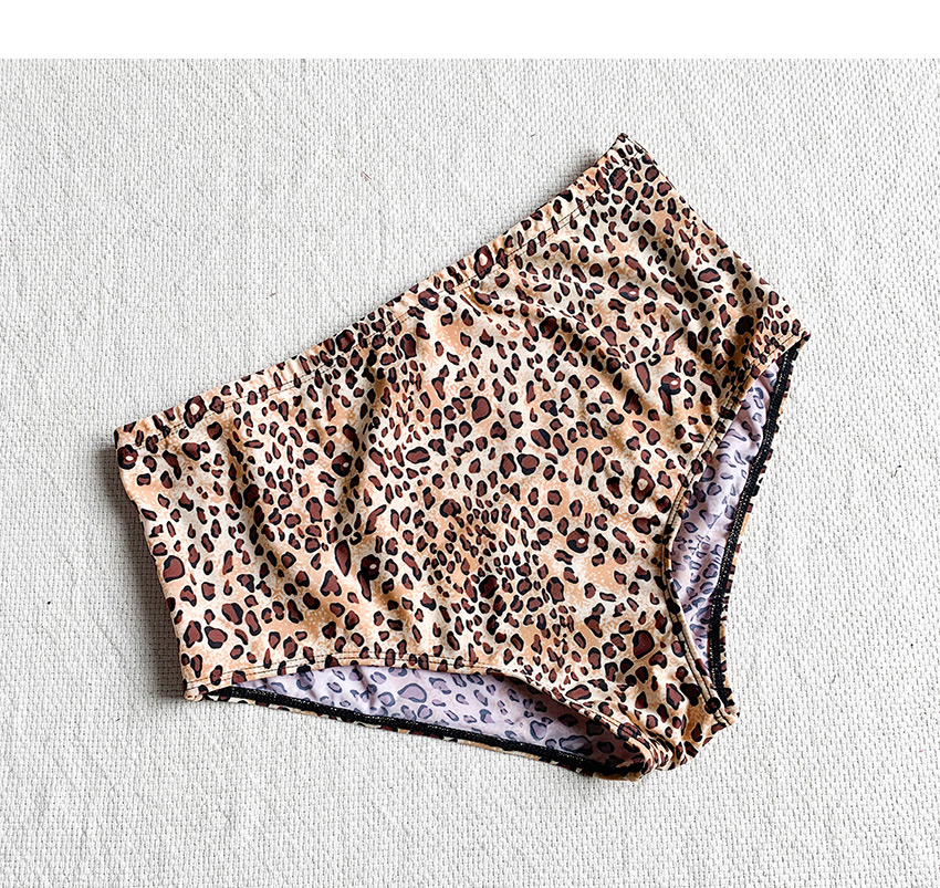 Fashion Color Leopard Print Tassel Split Swimsuit,Bikini Sets