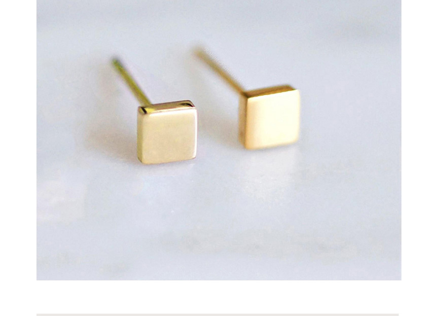 Fashion Rosy Shiny Stainless Steel Geometric Square Earrings,Earrings