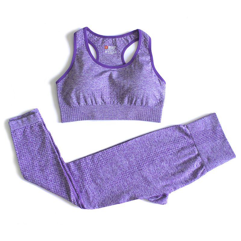 Fashion Violet Sports Bra High Waist Seamless Yoga Pants Suit,ACTIVEWEAR