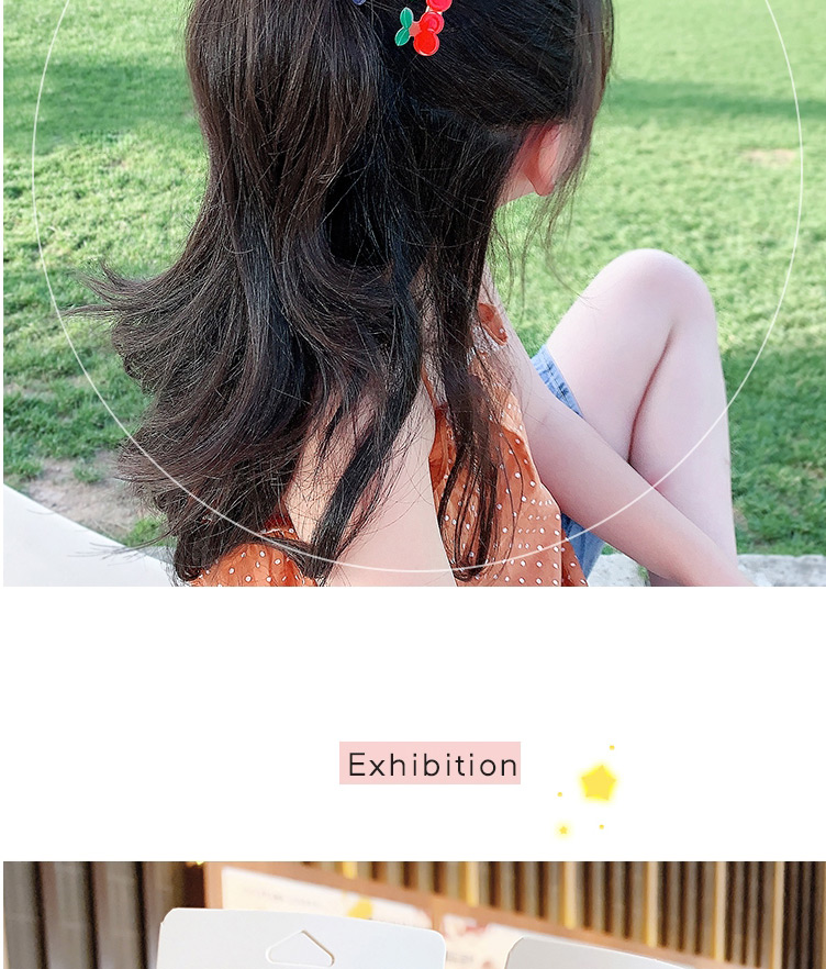 Fashion Carrot Hair Rope Series #5 Set Resin Flower Fruit Alloy Hollow Hair Clip Set,Hairpins