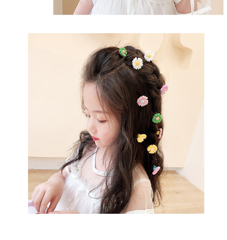 Fashion Donut Series (10 Pack) Resin Fruit Flower Animal Children Doudou Buckle Clip,Kids Accessories