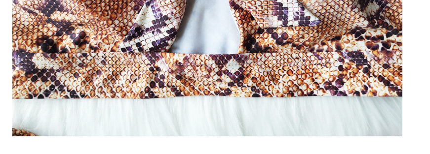 Fashion Leopard Print Leopard Print Split Swimsuit,Bikini Sets
