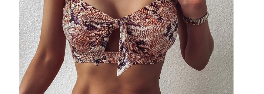 Fashion Leopard Print Leopard Print Split Swimsuit,Bikini Sets