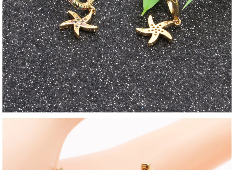 Fashion Starfish Small Micro-set Zircon Starfish Earrings,Hoop Earrings