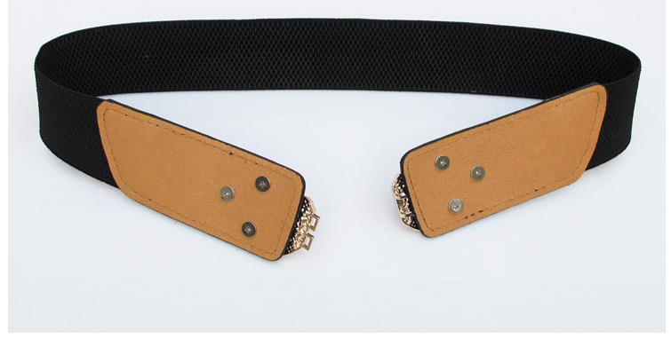 Fashion Brown Elastic Elastic Belt With Metal Buckle Wings,Wide belts
