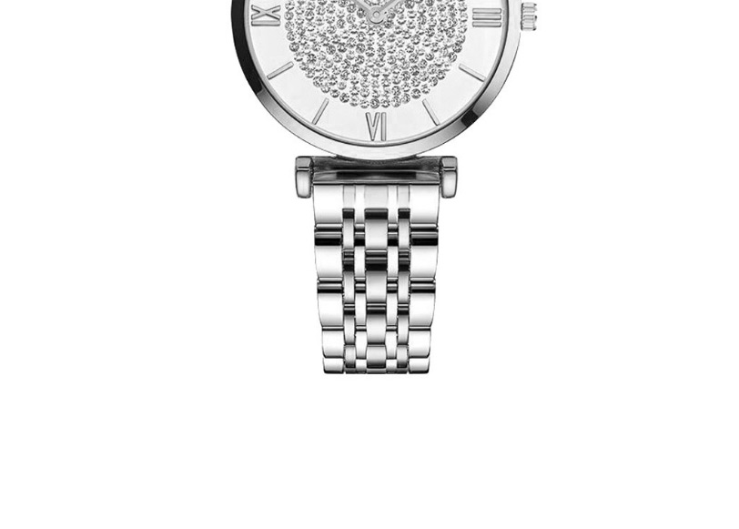 Fashion Silver Quartz Watch With Diamond Gypsophila Dial,Ladies Watches