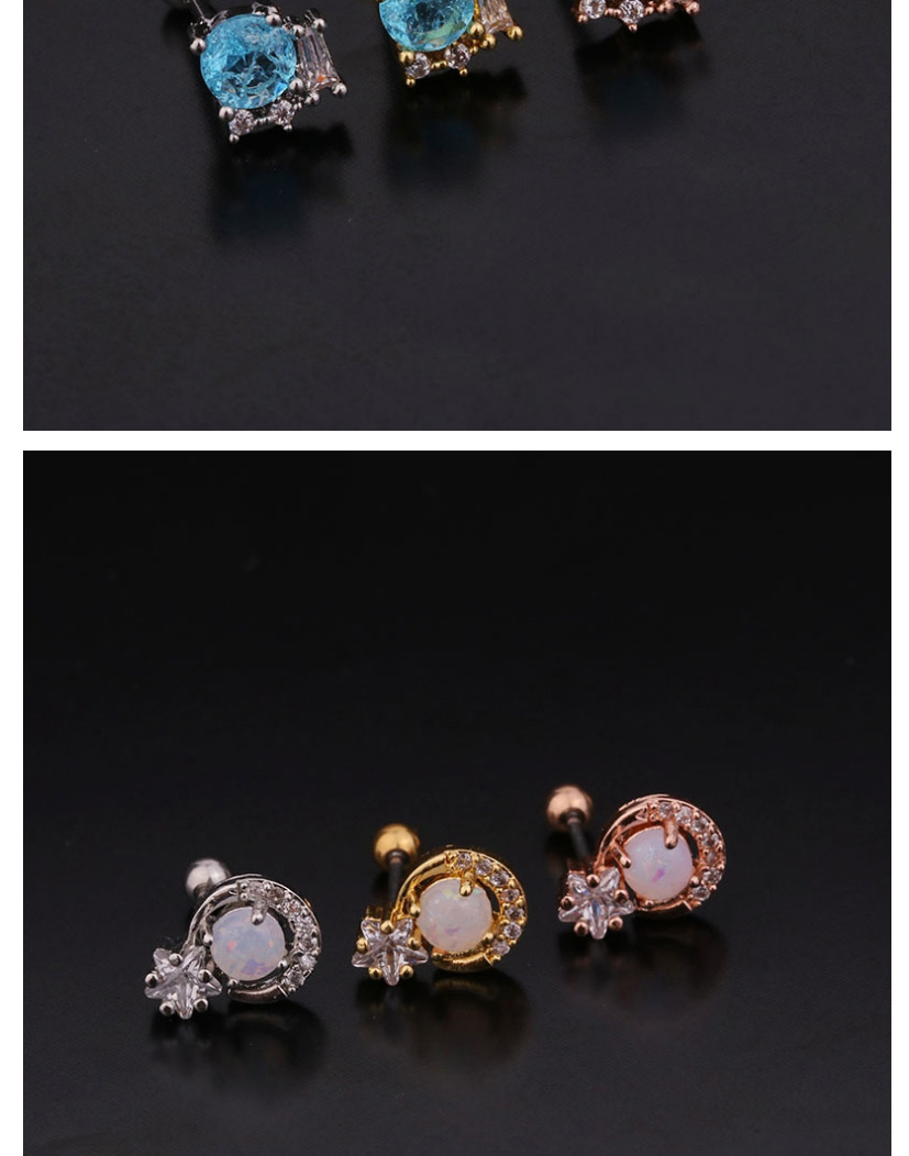Fashion 7# Rose Gold Color Color Round Micro-inlaid Zircon Stainless Steel Screw Earrings (1 Price),Earrings