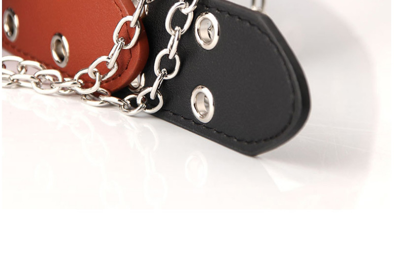 Fashion Brown Eyelet Chain Alloy Double Row Belt,Wide belts