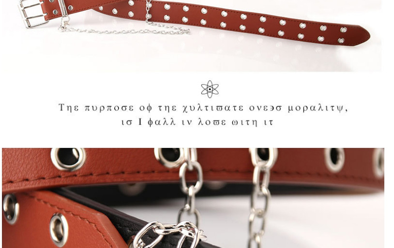 Fashion Brown Eyelet Chain Alloy Double Row Belt,Wide belts