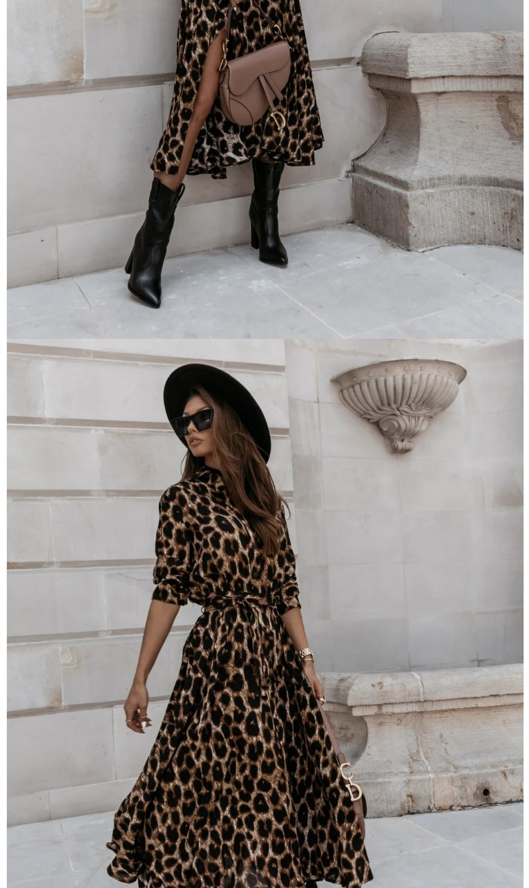 Fashion Little Leopard Long Sleeve V-neck Leopard Print Dress,Long Dress