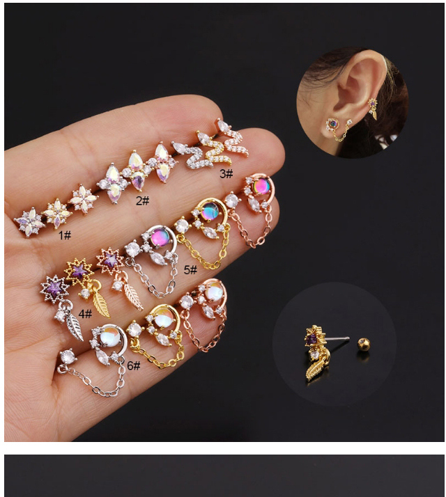 Fashion Round Chain Rose Gold Micro-inlaid Zircon Stainless Steel Geometric Earrings,Earrings