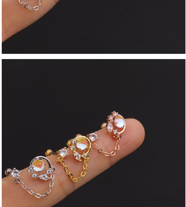 Fashion Round Chain Rose Gold Micro-inlaid Zircon Stainless Steel Geometric Earrings,Earrings