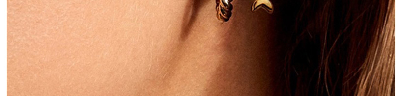 Fashion Gold Color Twist Chain Diamond Fish-shaped Earrings Set,Jewelry Sets