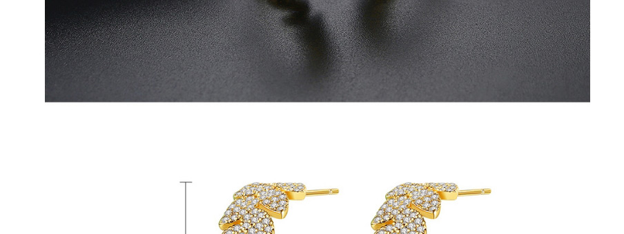 Fashion Platinum Copper Inlaid Zircon Leaf Geometric Earrings,Earrings