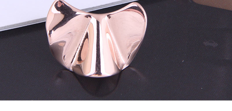 Fashion Rose Gold Color Titanium Steel Fan Earrings,Stud Earrings