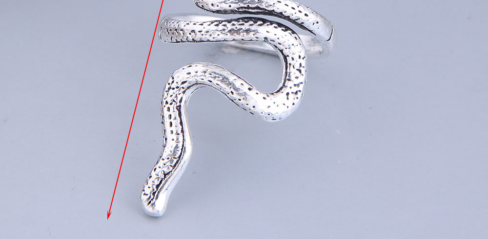 Fashion Silver Color Serpentine Alloy Ring,Fashion Rings