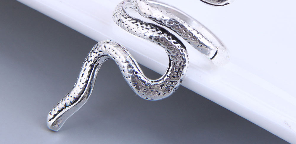 Fashion Silver Color Serpentine Alloy Ring,Fashion Rings
