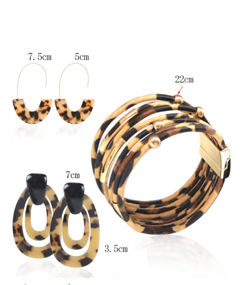 Fashion Combination 9 Leopard Print Resin Geometric Print Earrings Bracelet Necklace,Jewelry Sets