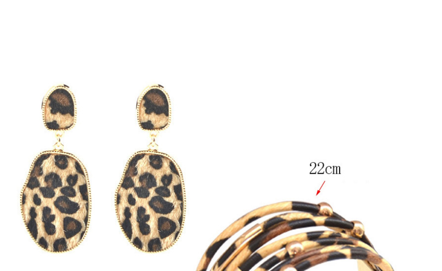 Fashion Metal Earrings And Bracelet Leopard Print Resin Geometric Bracelet Earrings,Jewelry Sets
