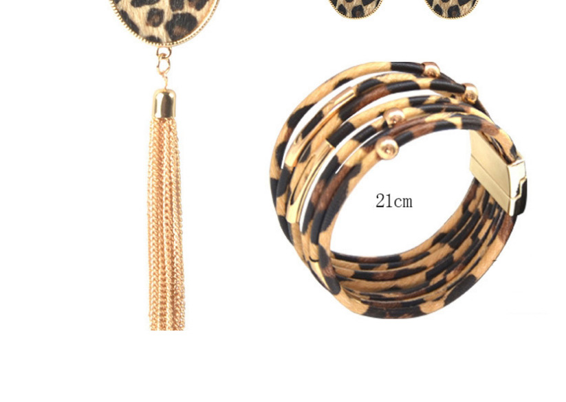 Fashion Love Earrings Leopard Print Tassel Geometric Alloy Earrings Necklace Bracelet,Jewelry Sets